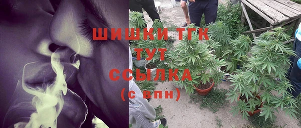 тгк Абаза