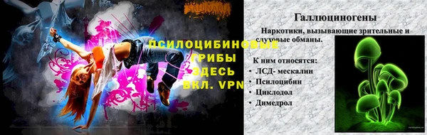 ГАЛЛЮЦИНОГЕННЫЕ ГРИБЫ Алзамай
