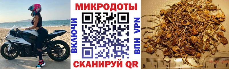 продажа наркотиков  Касимов  Галлюциногенные грибы Psilocybine cubensis 